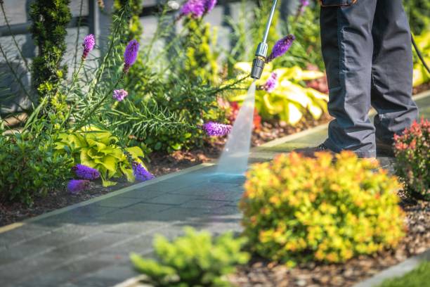 Best Gutter Cleaning  in Carthage, NC